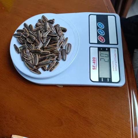 一亿颗瓜子的重量