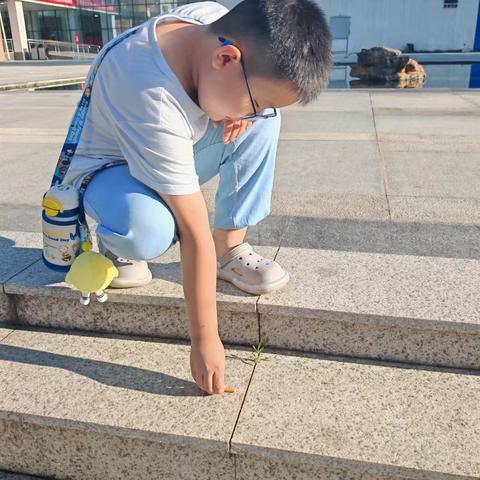 爱护环境，从我做起