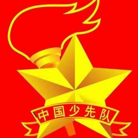 淮阳五星学校少先队活动