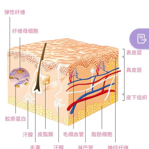 护肤课堂｜面膜,你敷对了么?