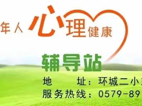 我的龙年春节---2024站前小学“红领巾”寒假实践活动