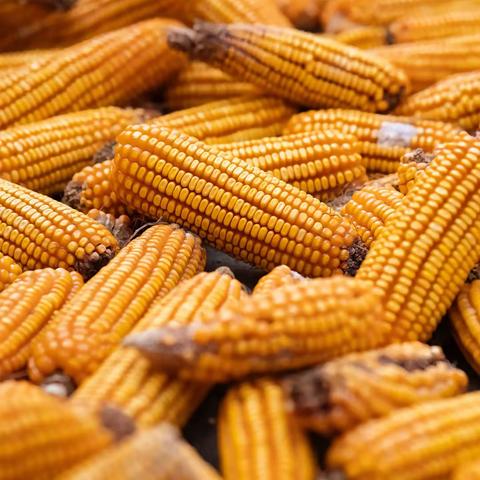 秋之美 703鲁梦涵