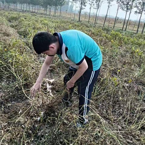 中秋节过个有意义的节日！