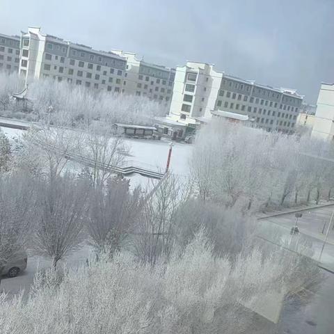 白雪皑皑的冬天