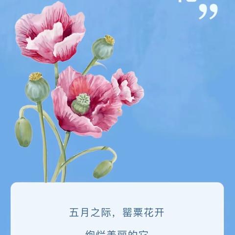 罂粟“零种植”排查 让“罪恶之花”无处绽放