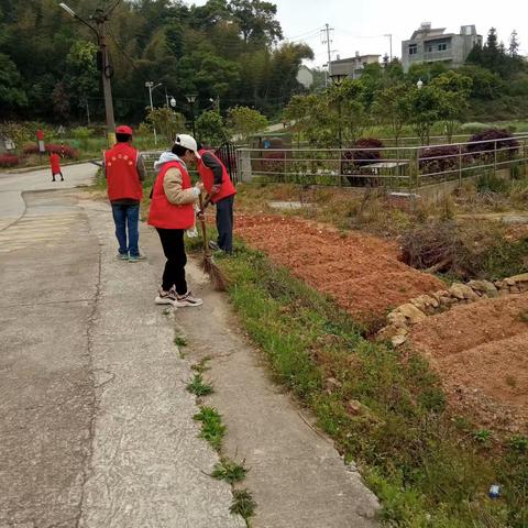 宦溪镇胜利村积极开展卫生专项行动迎新春