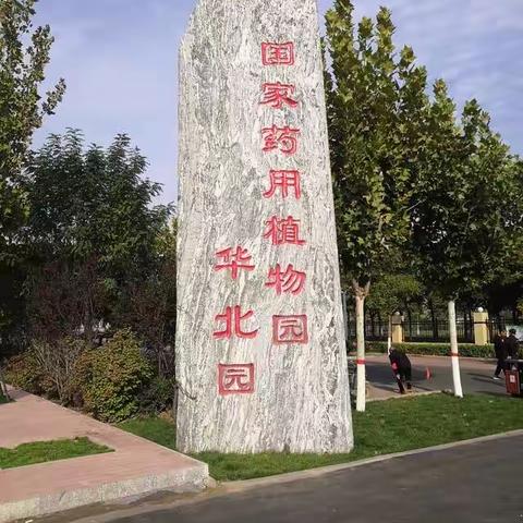 学习中医药知识，传承中医药文化