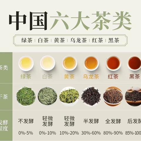 茶——一片树叶的故事