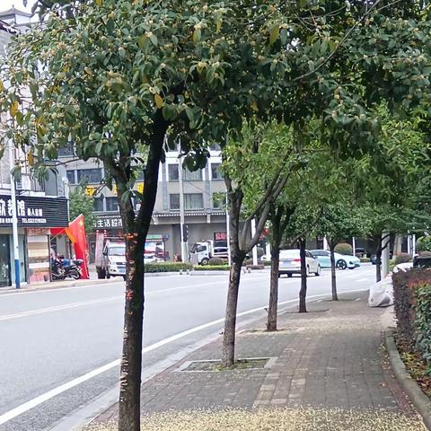 秋天的风景 秭归县第一实验中学冯梦馨707