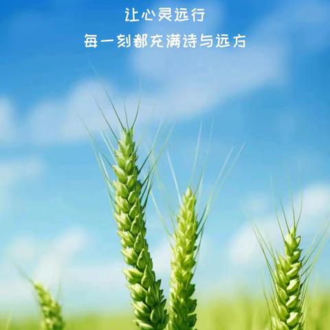衡阳奥园铂誉府项目8月份工作月报