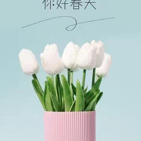 物业工作简报