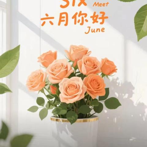 2025年6月份奥园铂誉府项目工作简报