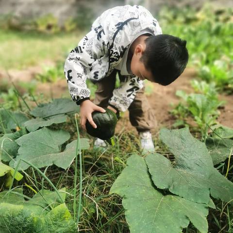 靠近自然，感受丰收的喜悦