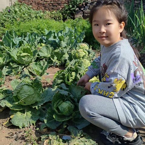 秋实不负春华 收获不负耕耘--平潭街小学二年级三班“收获节”活动