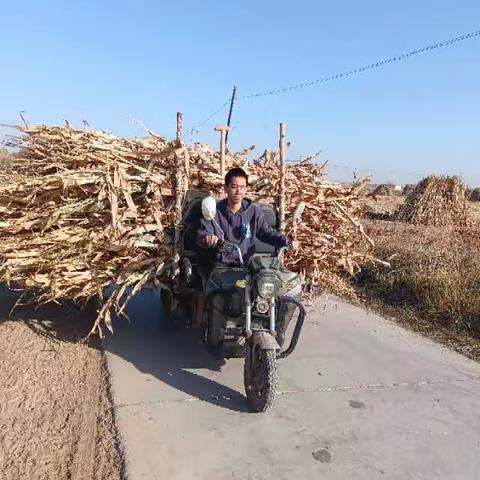 孝子之至，莫大乎尊亲。