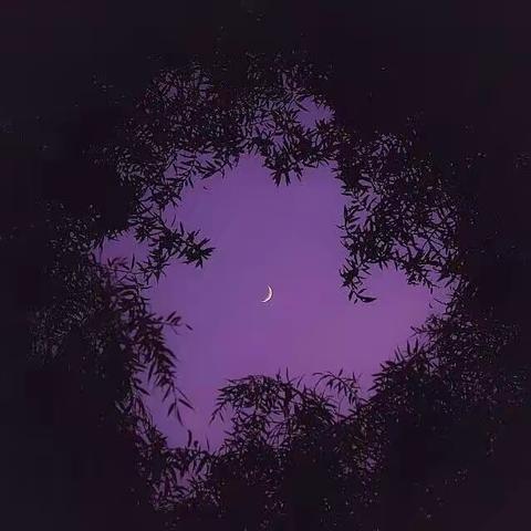 中秋佳节🌕