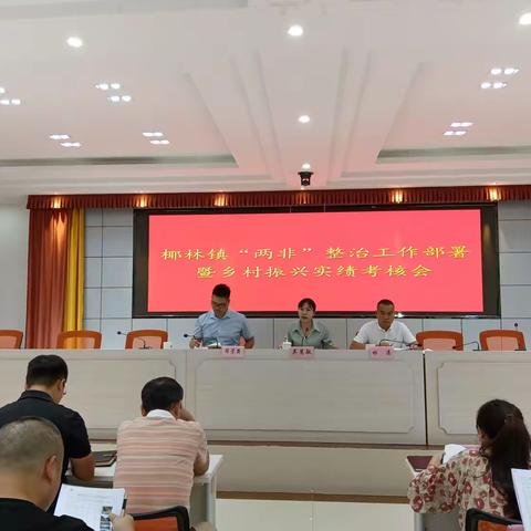 椰林镇召开“两非”图斑整治工作部署会