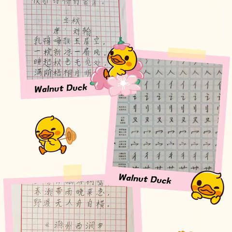 二（5）班假期作业反馈