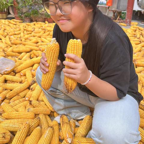 十一假期里的劳动时光——初一5班王梓乐