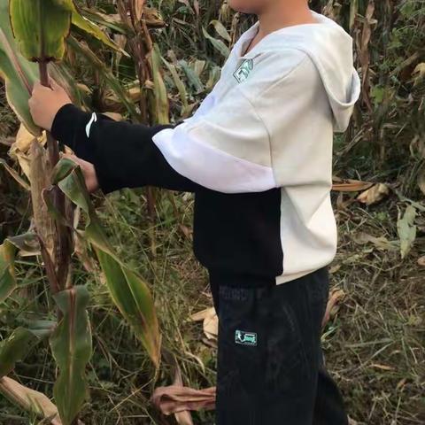 国庆节   （附中学子这样过国庆）情暖中秋与爱同行——忻州师范学院附属中学初一370班学子李嘉懿2023年国庆假期实践活动小记 班主任，指导老师，杜兴旺