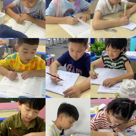 敏学班期末总结