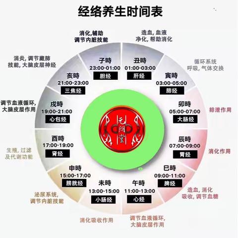 十二经络之肝