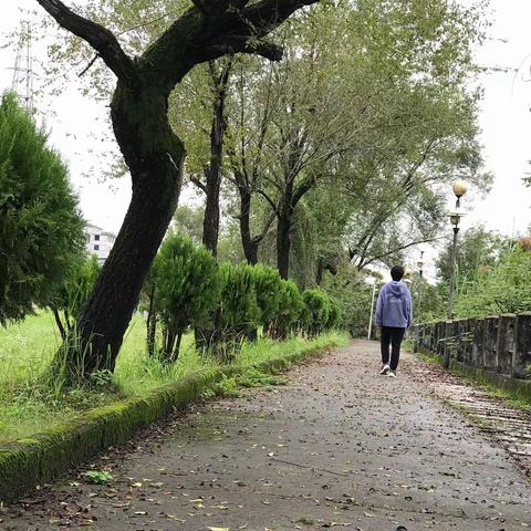 秋雨，秋雨