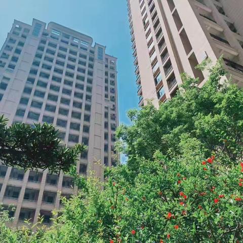悦港名都一月份简报
