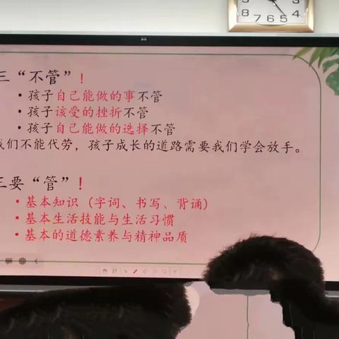 用户15290120的简篇