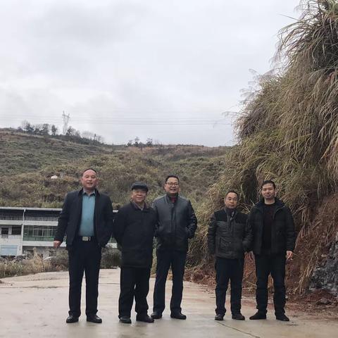 2023年12月18日涟源市委宣传部原副部长李郁林、湖南省军博园企业管理集团有限公司简称【军博园】董事长熊泽伟、总经理梁慧及湖南艺巧铖铭雕塑董事长肖福华陪同下莅临湖南蔬融生态农业科技有限公司指导工作。