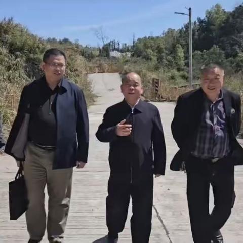 热情如火的夏日，阳光灼热，万物欢腾3月29日中共涟源市委领导黄永贤带领工作小组莅临《爕和文化产业园》考察指导工作