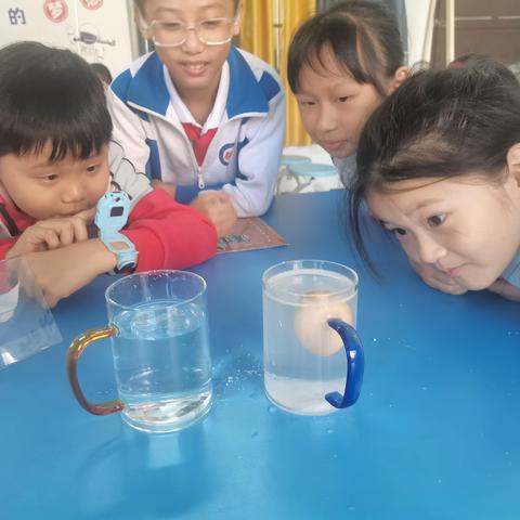 海南白驹学校第二届科技节纪实