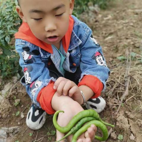 周义洋“中秋”“国庆”双节生活实践