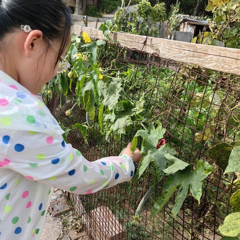 金秋十月，收获的季节