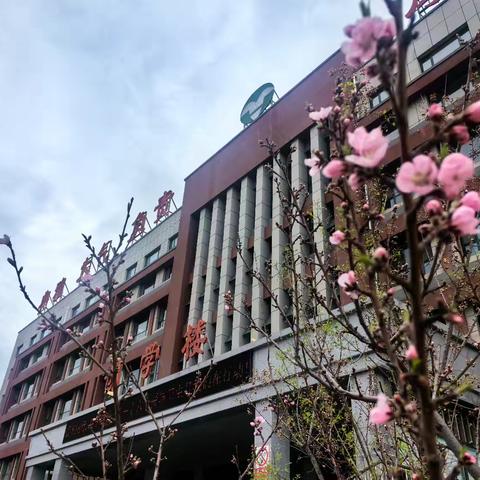 ‘音’为有你，‘艺’课生花 集团音美学科线下优质课交流活动