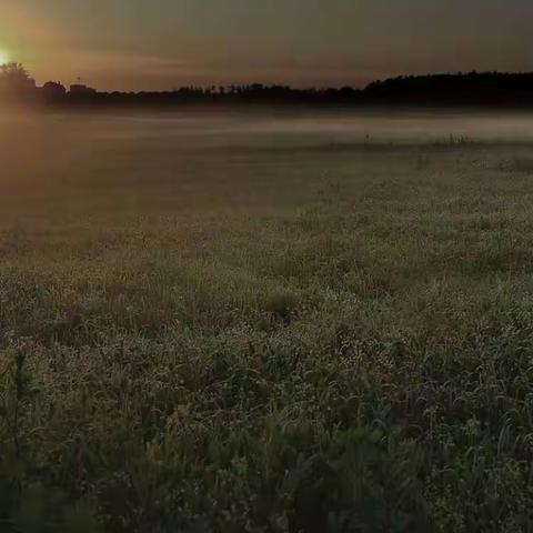 村头小河边的草地