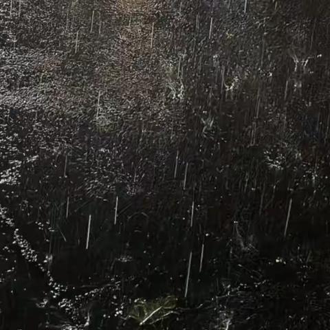 秋雨——秭归县第一实验中学705班兰天翼