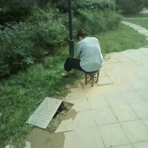 清除杂草，消除隐患，物业一直在行动