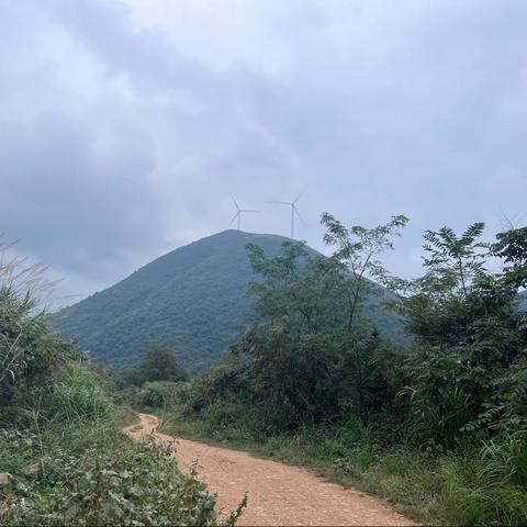 阳新县永兴小学五年级（二）班许毅然