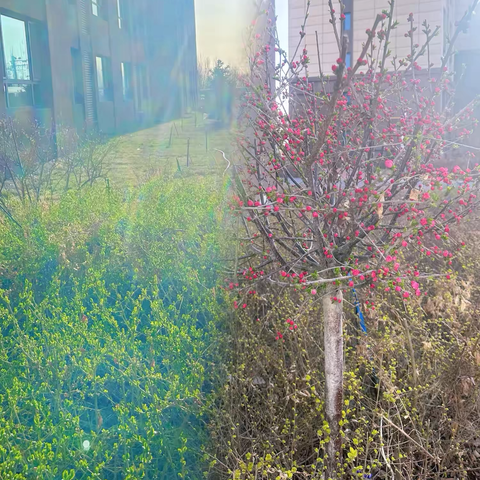 春临家园，情暖相伴