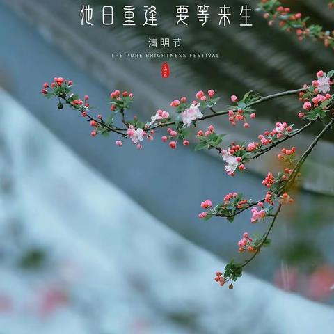 【附中学子这样过清明】——节气探索 忻州师范附属中学初一24班康楚琪 班主任、指导教师：郭靖