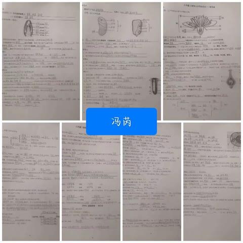 马靖瑶的简篇