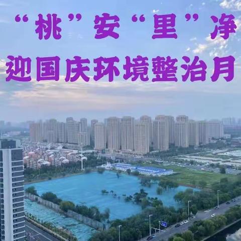 “桃”安“里”净迎国庆环境整治月