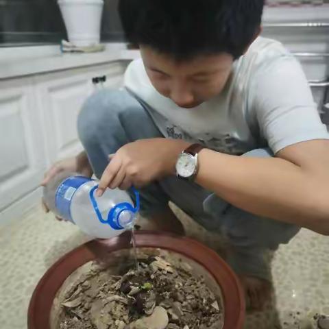 春已至，万物始——看见生长