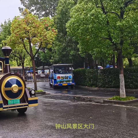 初秋雁南归钟山风雨游—美龄宫，明孝陵