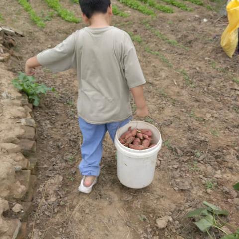 迎国庆，幸福是奋斗出来的！ 濮阳市华龙区实验小学五三班张振皓