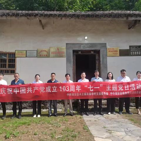 镇安县粮食局联合包扶村开展庆祝中国共产党成立103周年“七一”主题党日活动