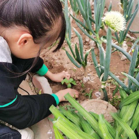 忻州师范学院附属外国语中学  375班  赵奕璇