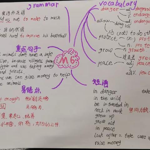 察哈尔校区初二6班思维导图作业展