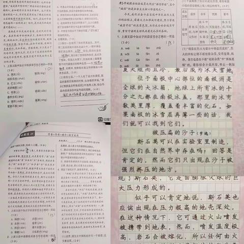 九班十组五一语文作业